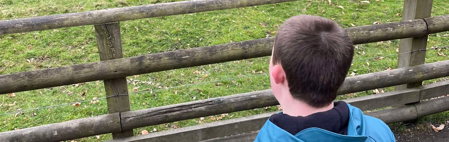 A child in a blue jacket looks over a wooden fence toward a grassy field.